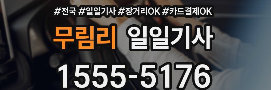 무림리 일일기사