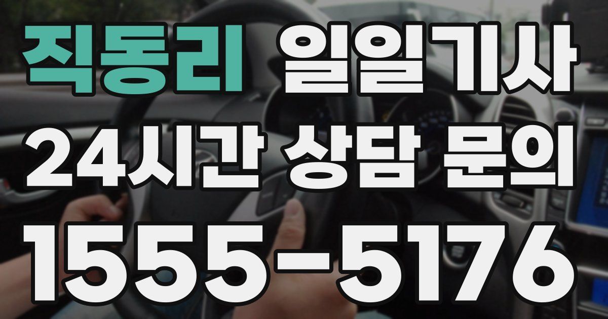 일일대리기사