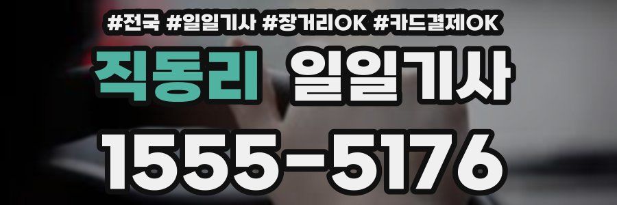 직동리 일일기사