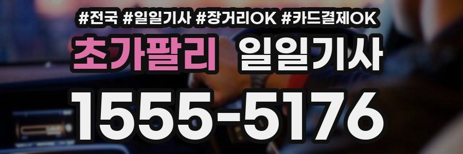 초가팔리 일일기사