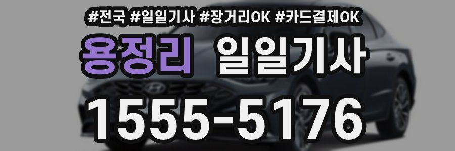 용정리 일일기사