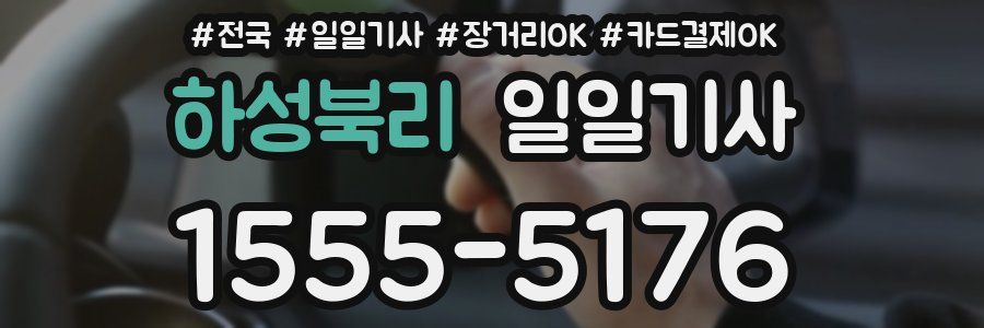 하성북리 일일기사