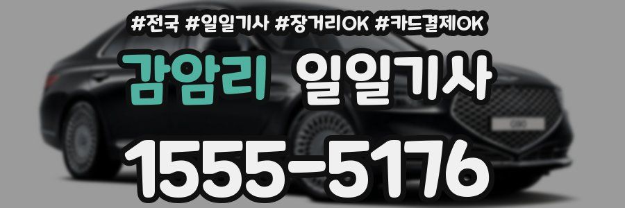 감암리 일일기사