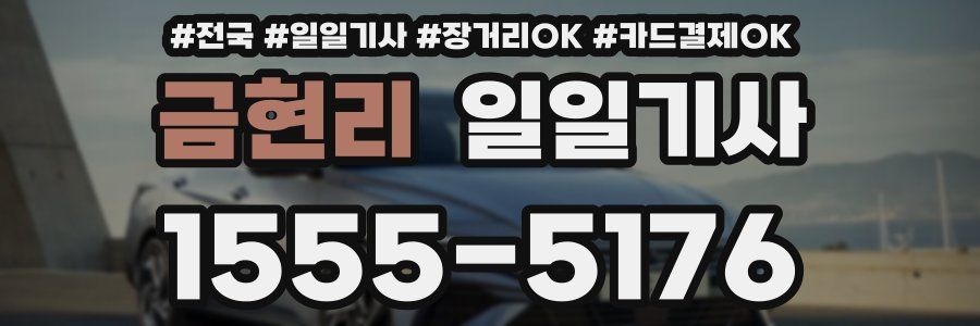 금현리 일일기사