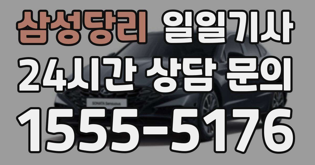 일일대리기사