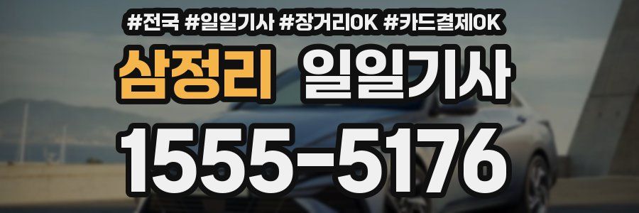 삼정리 일일기사