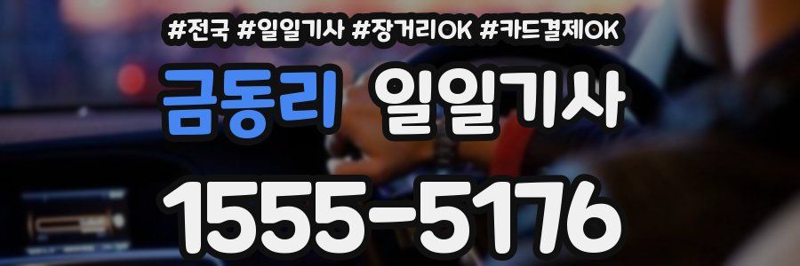 금동리 일일기사