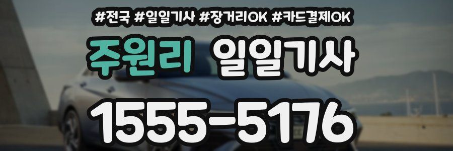 주원리 일일기사