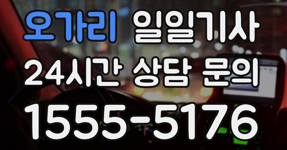 일일대리기사