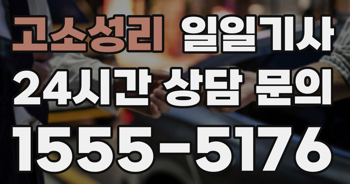 일일대리기사