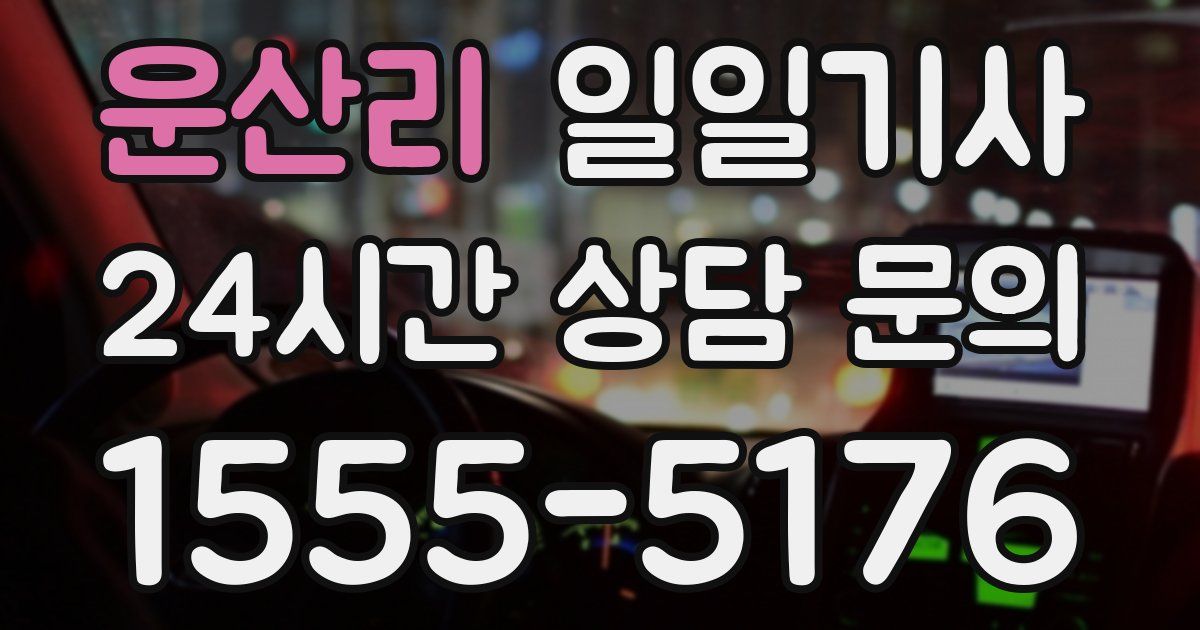 일일대리기사