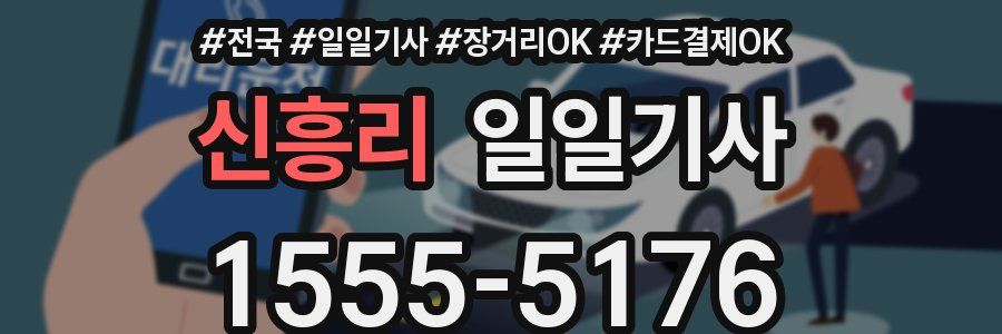 신흥리 일일기사