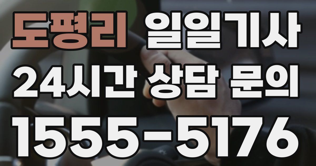 일일대리기사