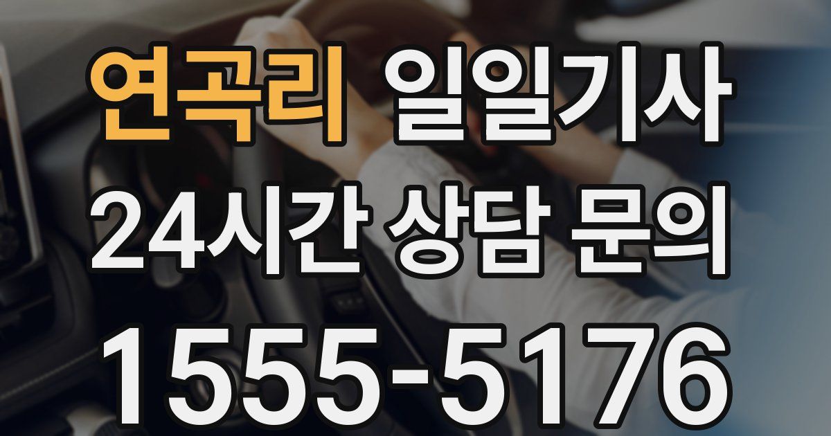 일일대리기사