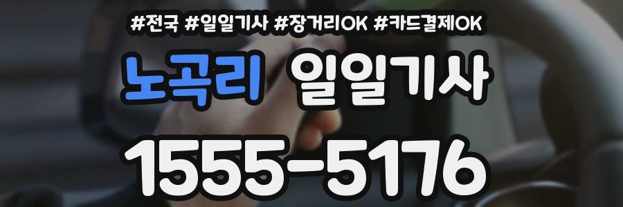 노곡리 일일기사