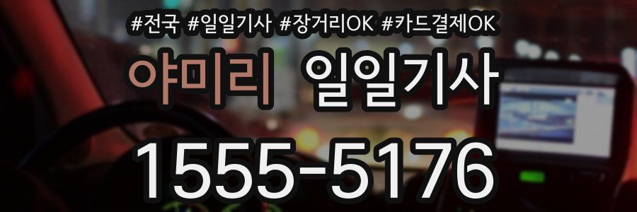 야미리 일일기사