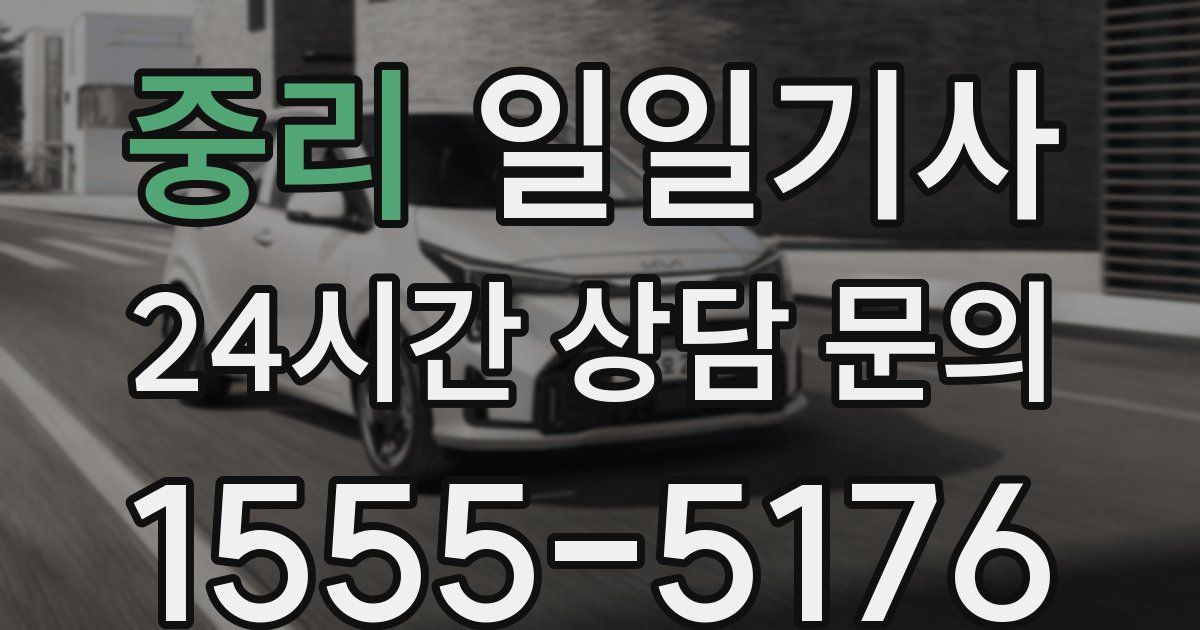 일일대리기사
