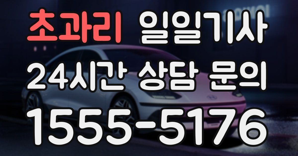 일일대리기사