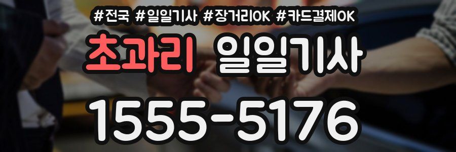 초과리 일일기사