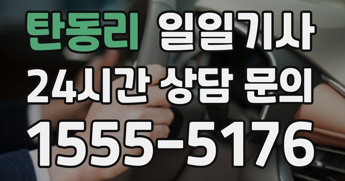 일일대리기사