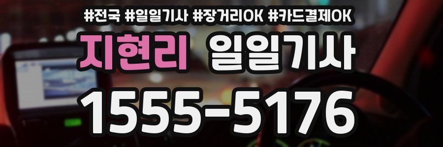 지현리 일일기사