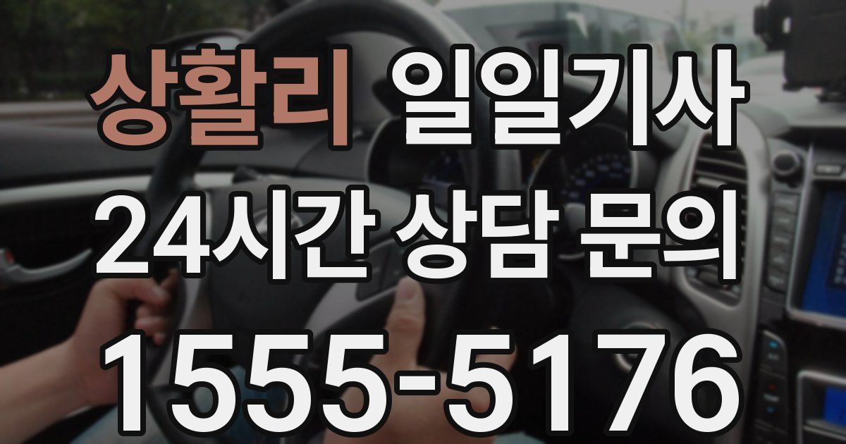 일일대리기사
