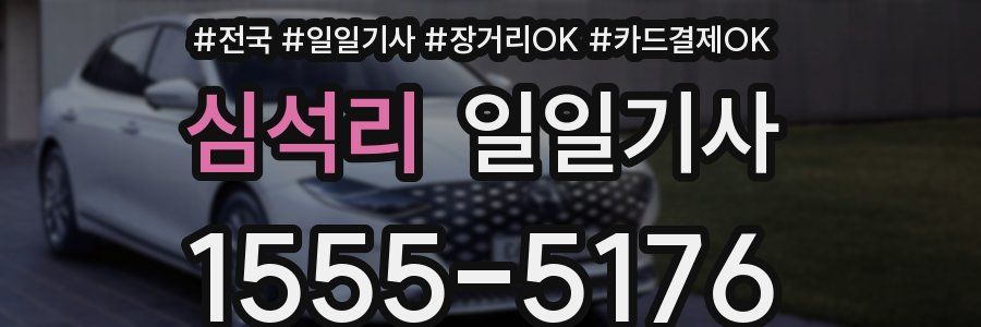 심석리 일일기사