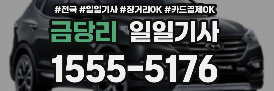 금당리 일일기사