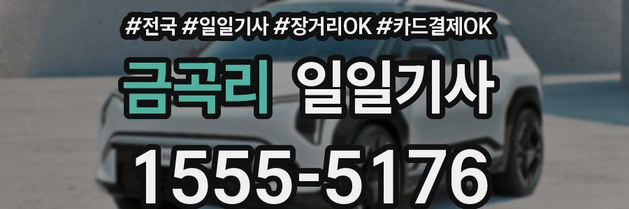 금곡리 일일기사