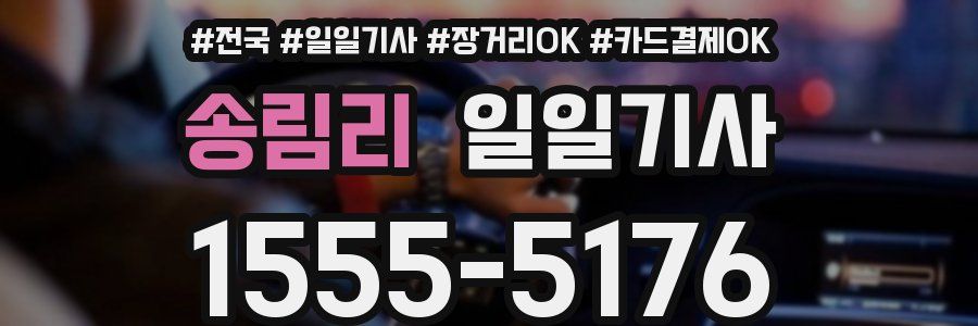 송림리 일일기사