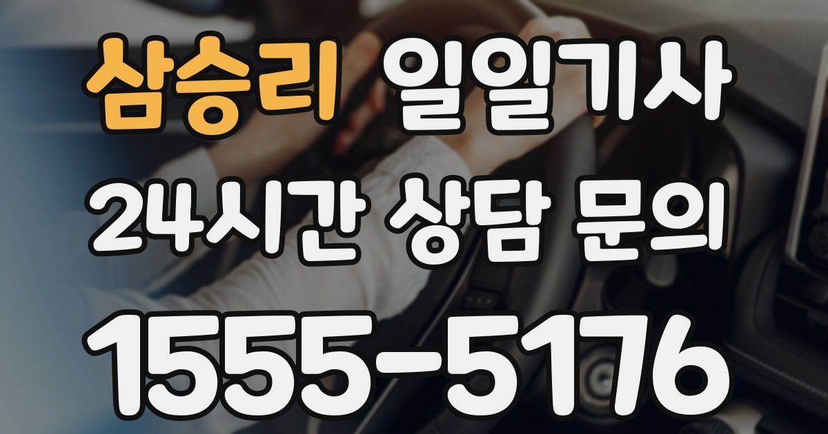 일일대리기사