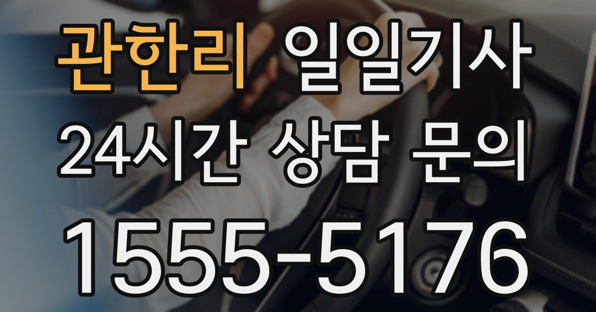 일일대리기사