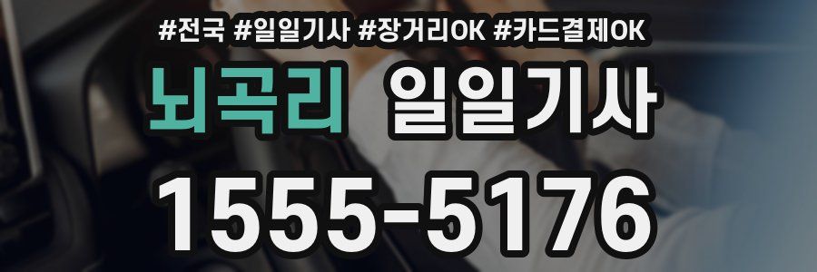 뇌곡리 일일기사