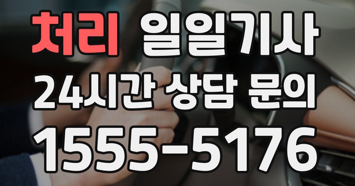 일일대리기사