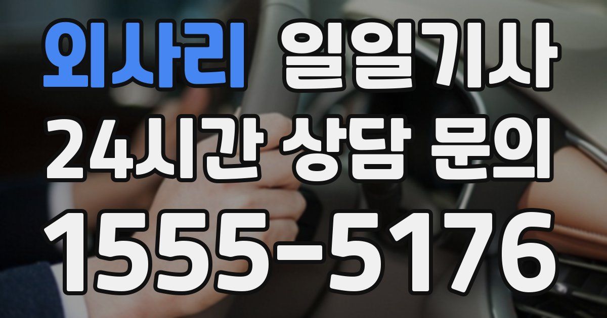일일대리기사