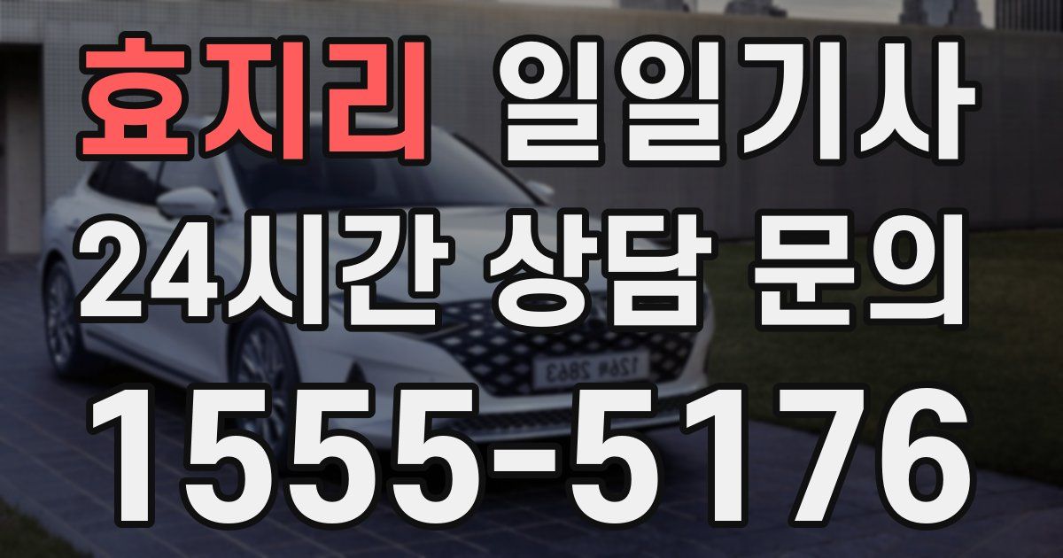 일일대리기사