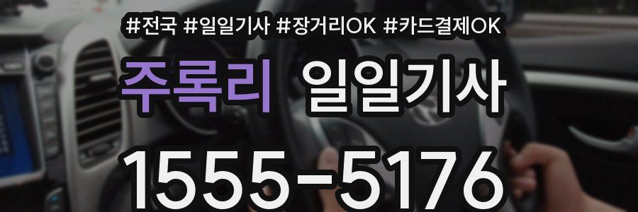 주록리 일일기사