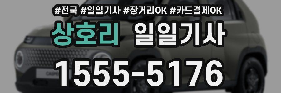 상호리 일일기사