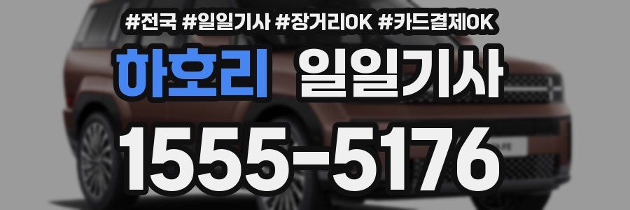 하호리 일일기사