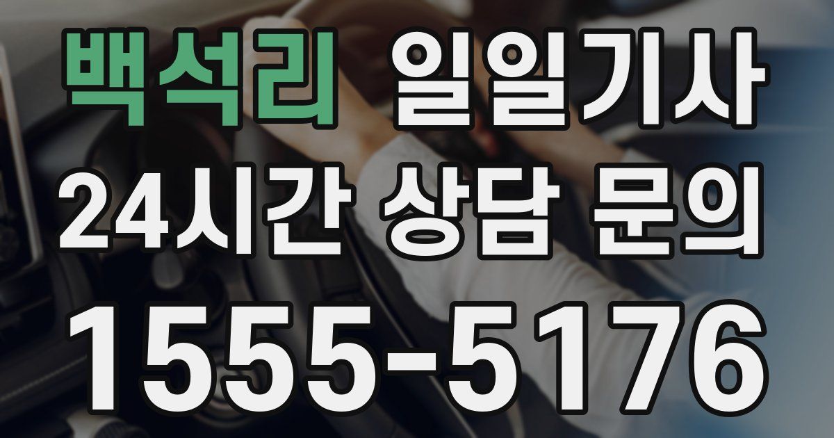 일일대리기사