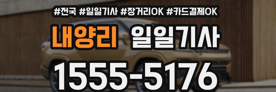 내양리 일일기사