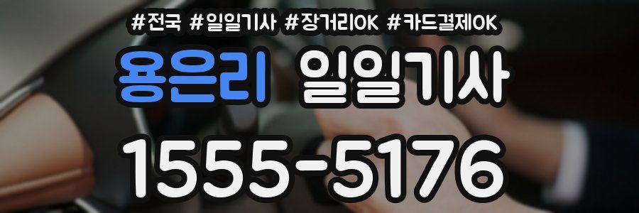 용은리 일일기사