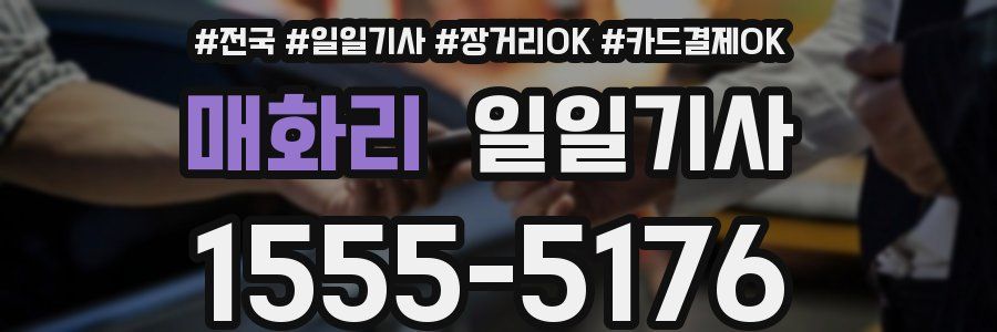 매화리 일일기사