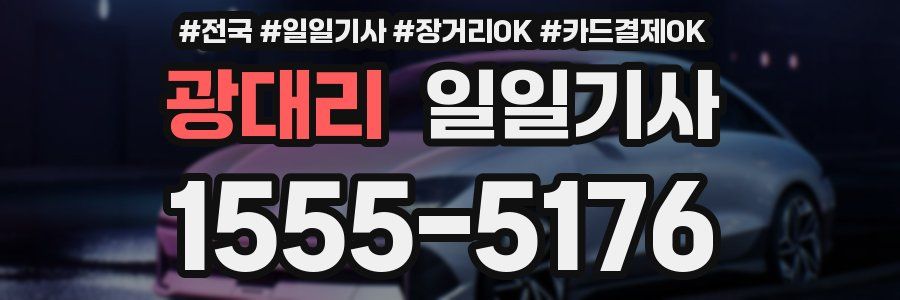 광대리 일일기사