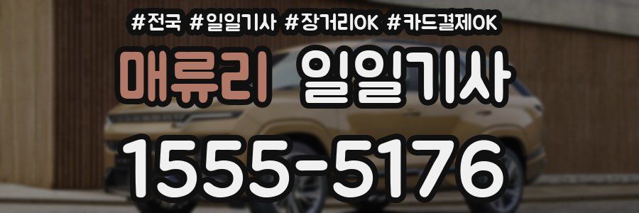 매류리 일일기사