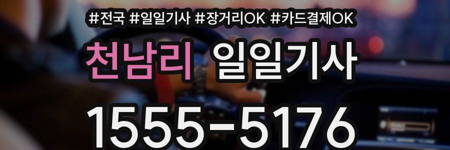 천남리 일일기사