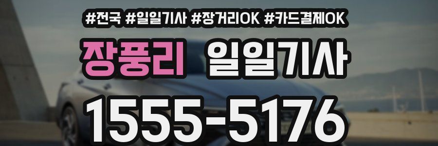 장풍리 일일기사