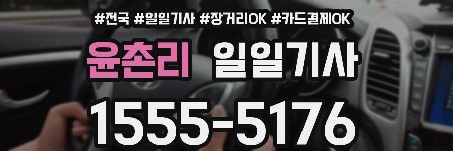 윤촌리 일일기사