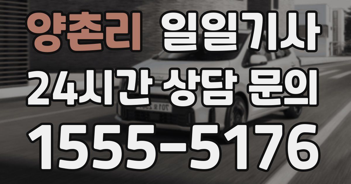 일일대리기사