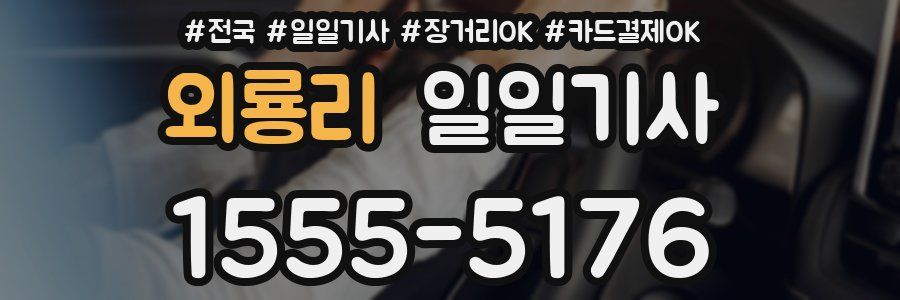 외룡리 일일기사